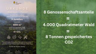Urkunde über den Kauf von 8 Genossenschaftsanteilen bei The Generation Forest durch Andreas Müller, Geschäftsführer astendo